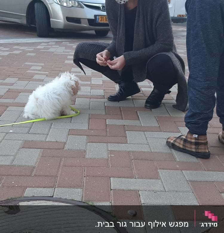 אישה מאמנת כלב קטן עם רצועה צהובה